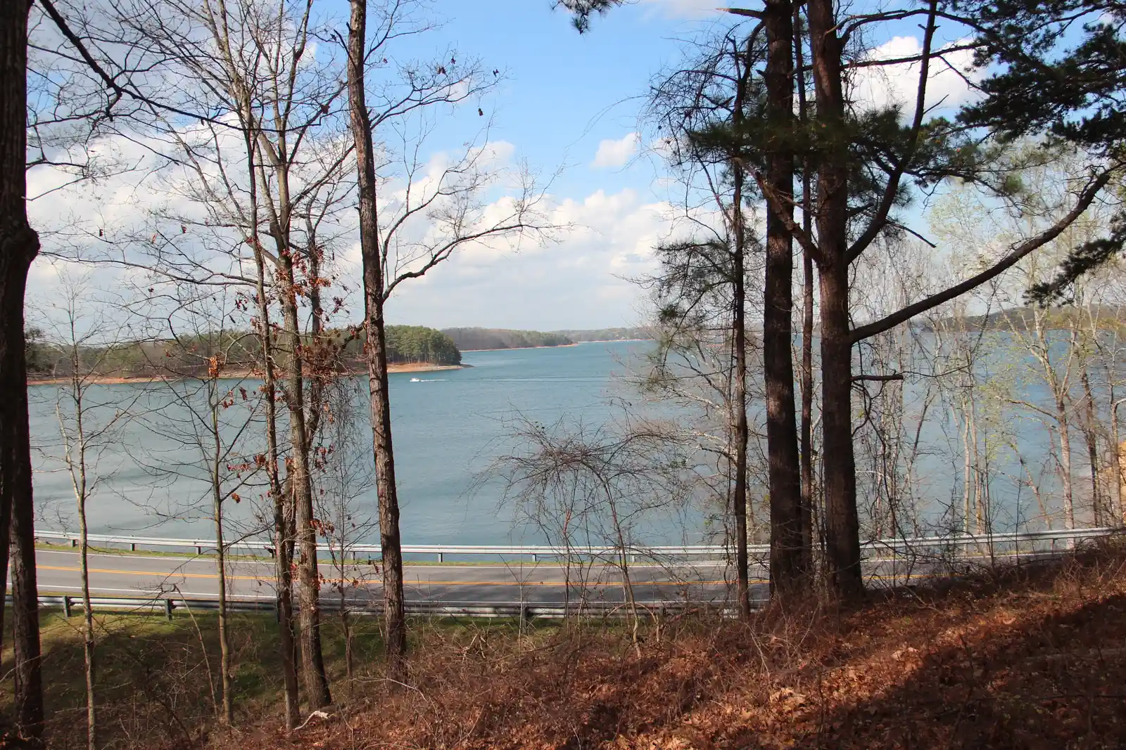 Through bare early-spring trees and pines on a leaf-covered slope, a wide blue arm of the lake opens toward wooded points with exposed red-clay shorelines under a blue sky with white cumulus clouds; a single boat leaves a white wake, and a guard-railed lakeside road crosses the foreground.